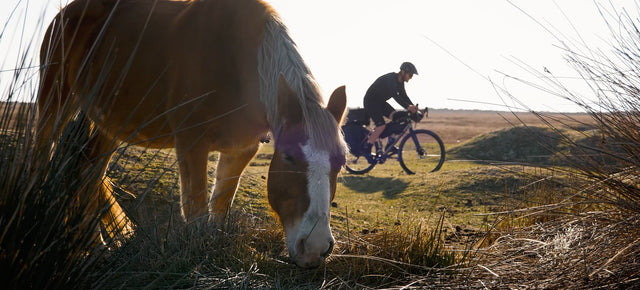 Five Cycling Trips for your Bucket List